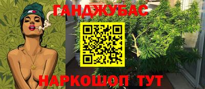 ПСИЛОЦИБИНОВЫЕ ГРИБЫ Кулебаки