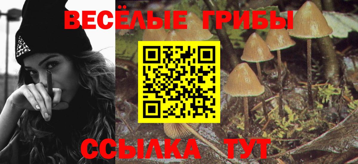 Галлюциногенные грибы мухоморы  Вход с VPN  Кинель 